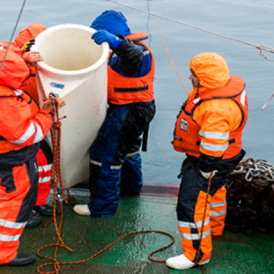 Deployment of a sediment trap (photo from Paulina Möller)